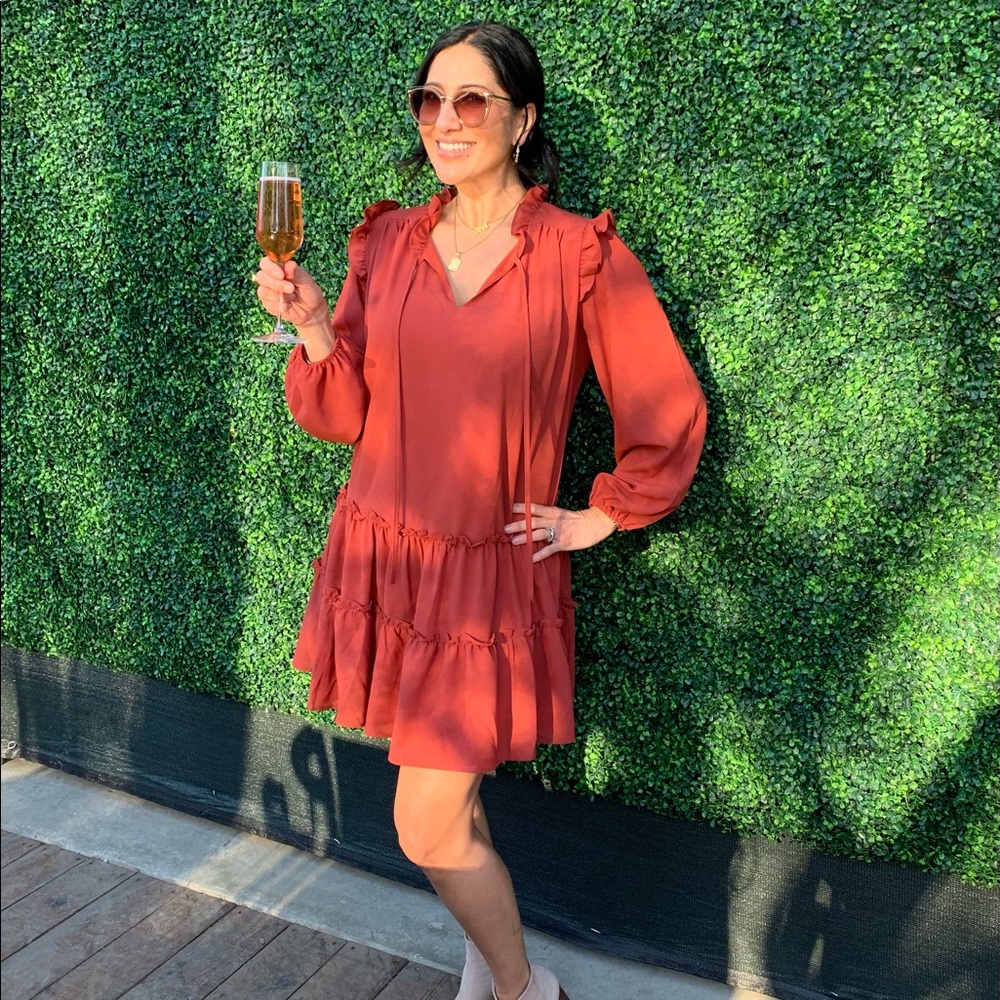 NWT. Pinch shift dress